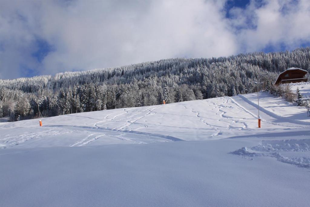 Hotel Chalet Les Airelles Les Carroz d'Araches Esterno foto